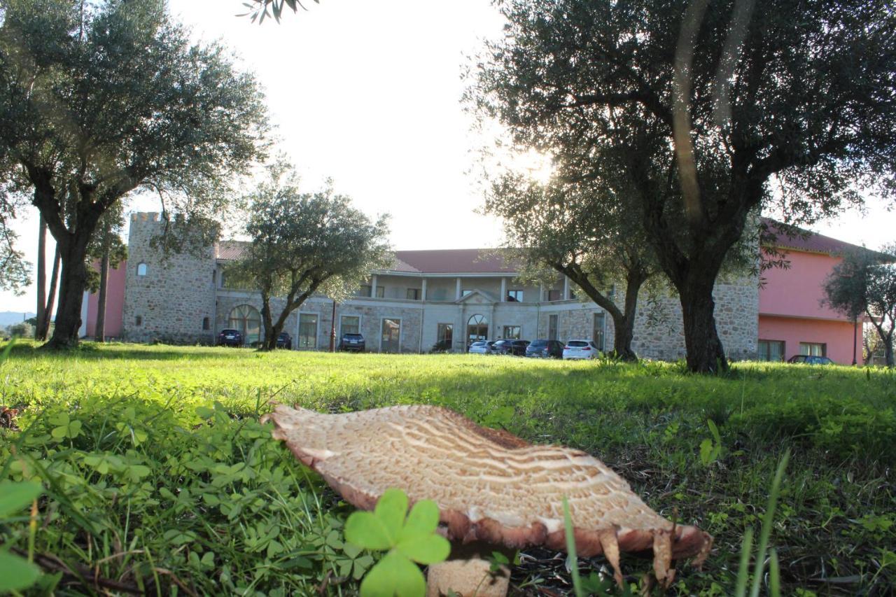 Palace Hotel&spa Termas De São Tiago Hotel